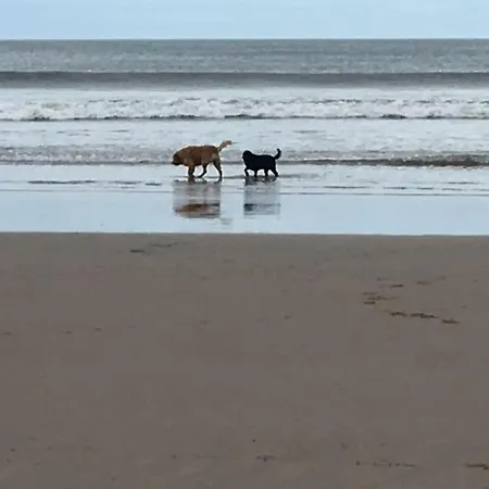 The Rockpools, 2 At The Bay Village, Filey, Dog Friendly, Sleep 12 Dom wakacyjny *